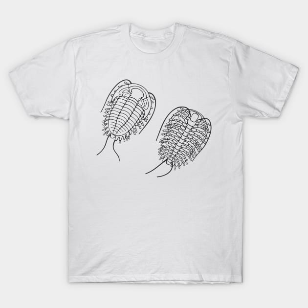 Line Drawing of Phacopid Trilobite T-Shirt by taylorcustom